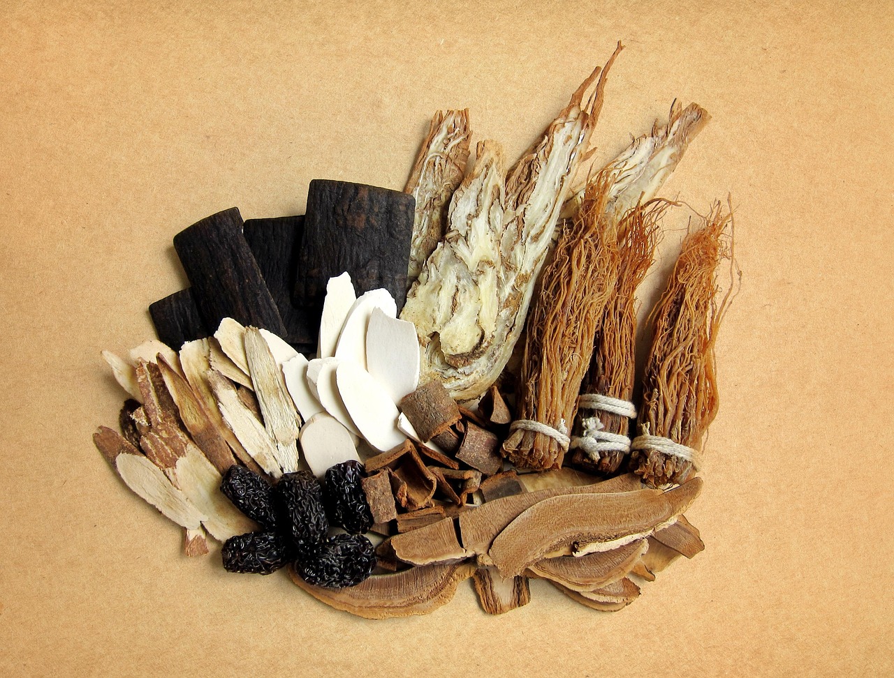 Dried roots, bark and slices of herbs used in Chinese medicine, laid out on paper